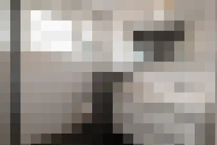 Maalsteen 12 Wieringerwaard thumbnail 23