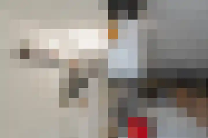 Maalsteen 12 Wieringerwaard thumbnail 25