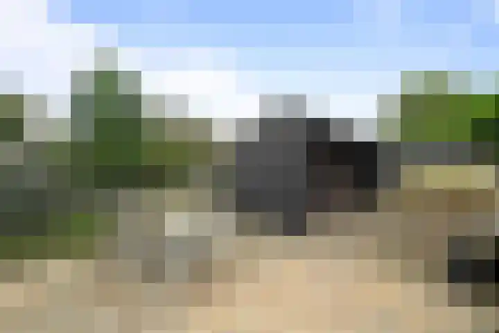 Maalsteen 12 Wieringerwaard thumbnail 29