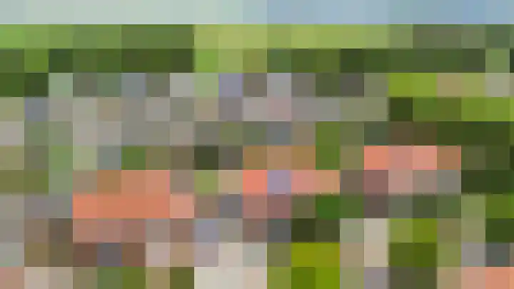 Maalsteen 12 Wieringerwaard thumbnail 4