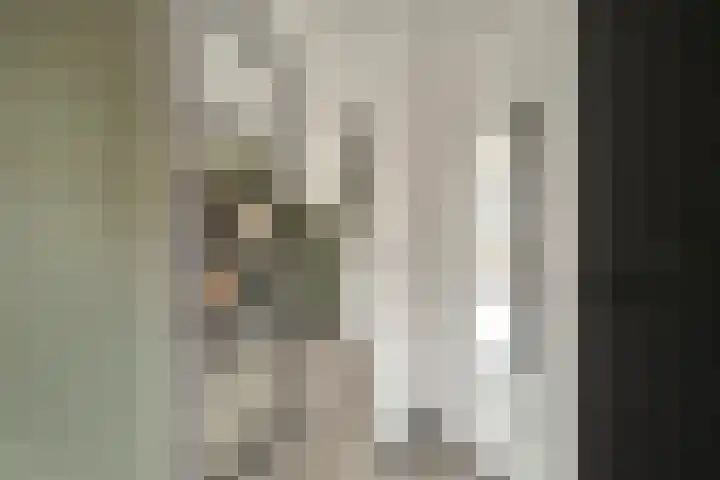 Maalsteen 12 Wieringerwaard thumbnail 6