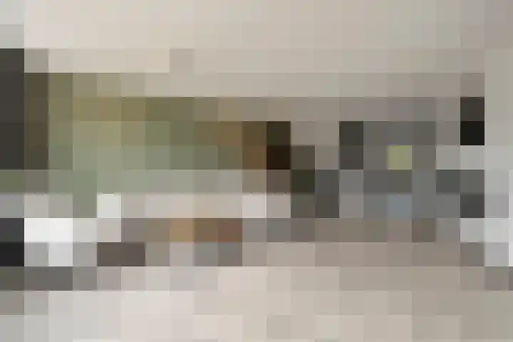 Maalsteen 12 Wieringerwaard thumbnail 8