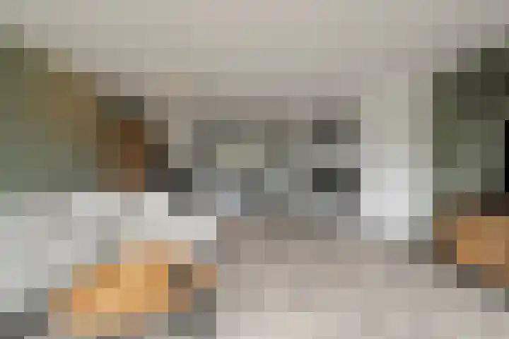 Maalsteen 12 Wieringerwaard thumbnail 9