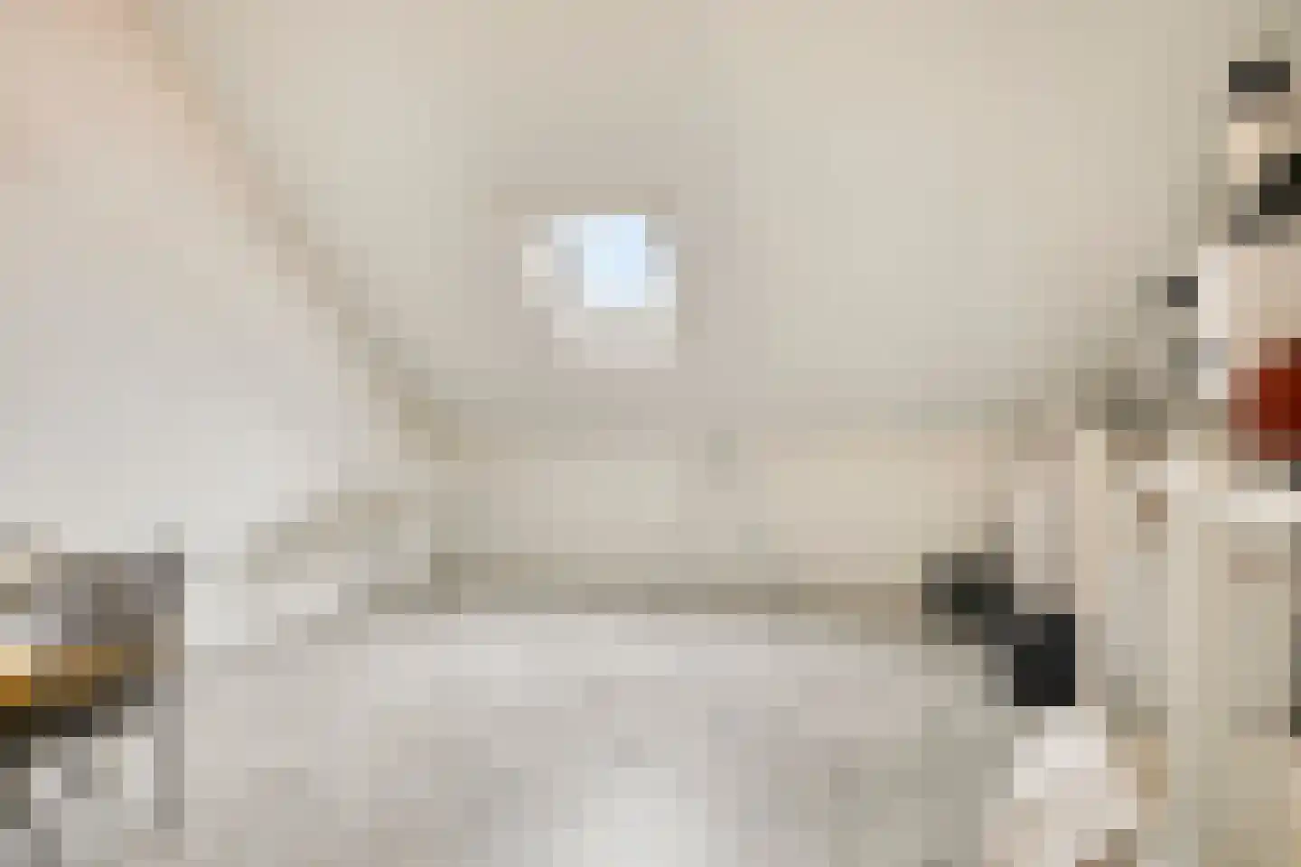 Maalsteen 15 Nistelrode thumbnail 19
