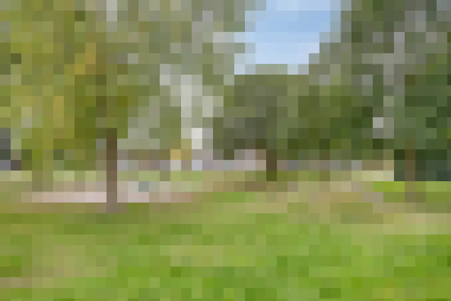 Maalsteen 15 Nistelrode thumbnail 24