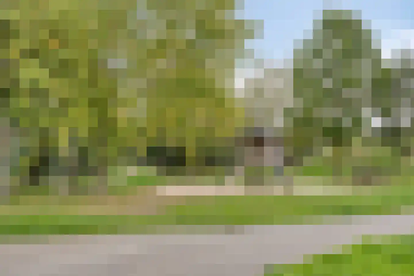 Maalsteen 15 Nistelrode thumbnail 25