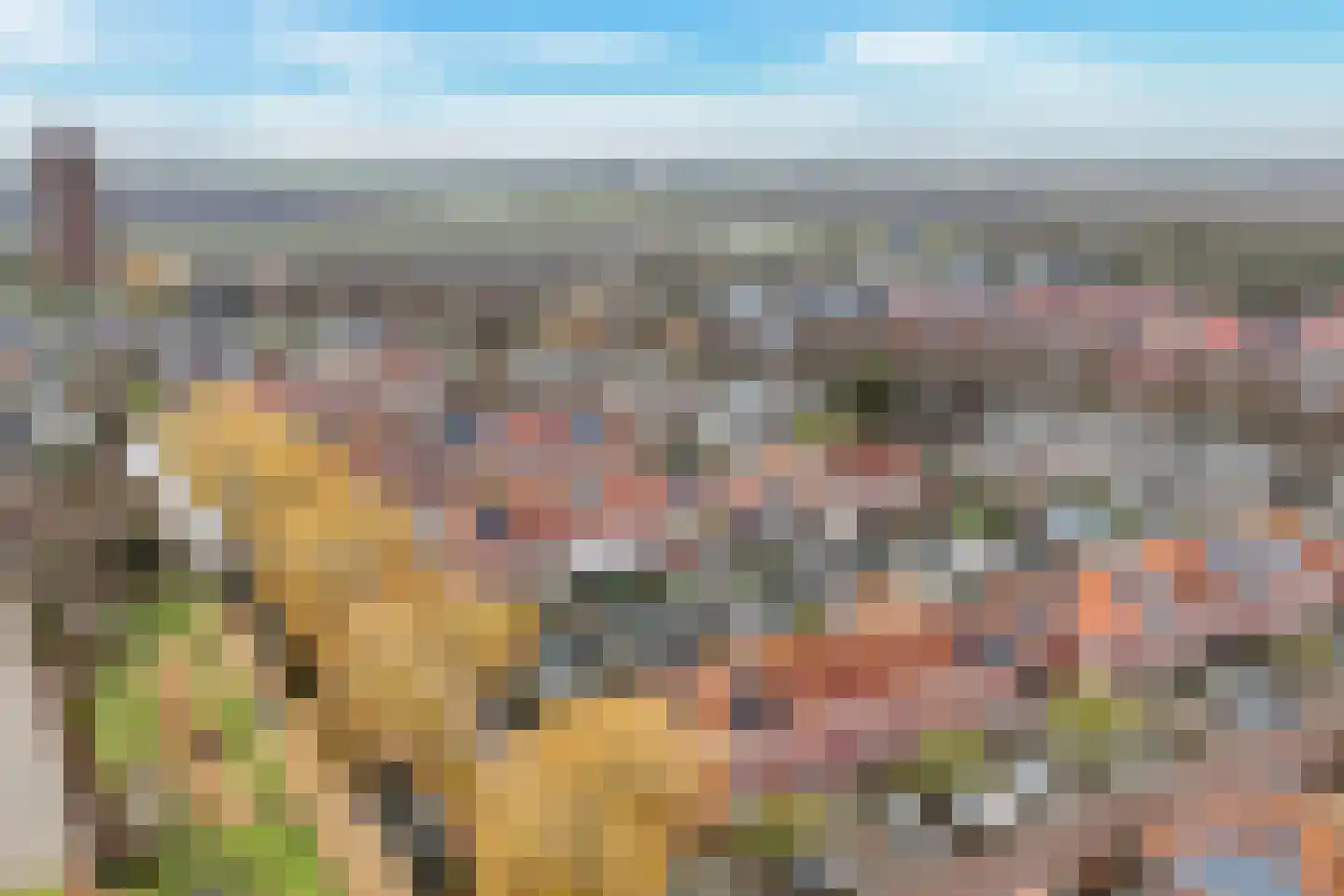 Maalsteen 15 Wieringerwaard thumbnail 29