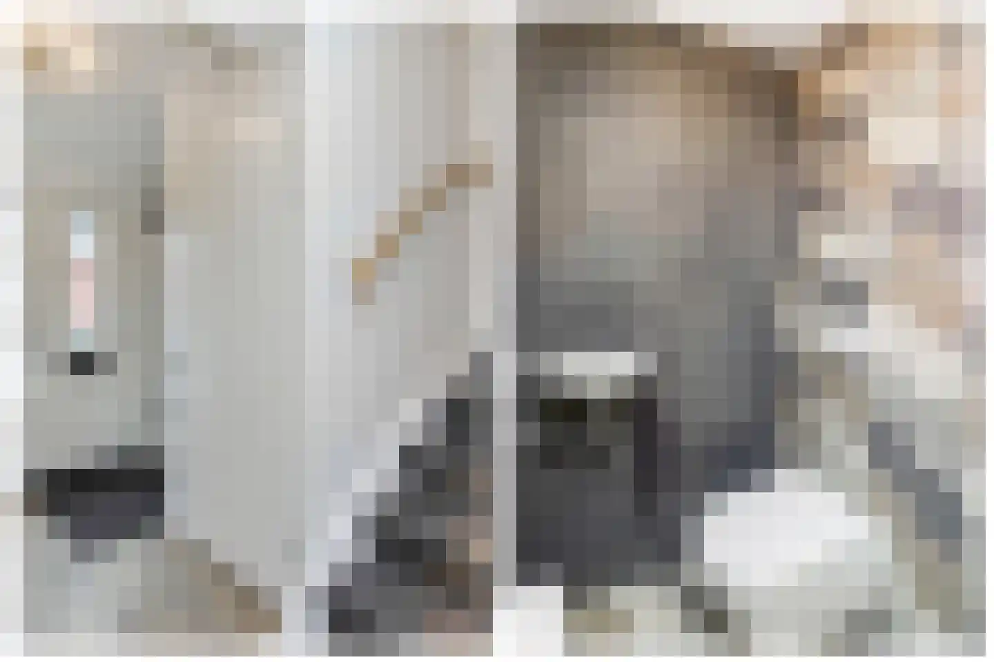 Maalsteen 15 Wieringerwaard thumbnail 8