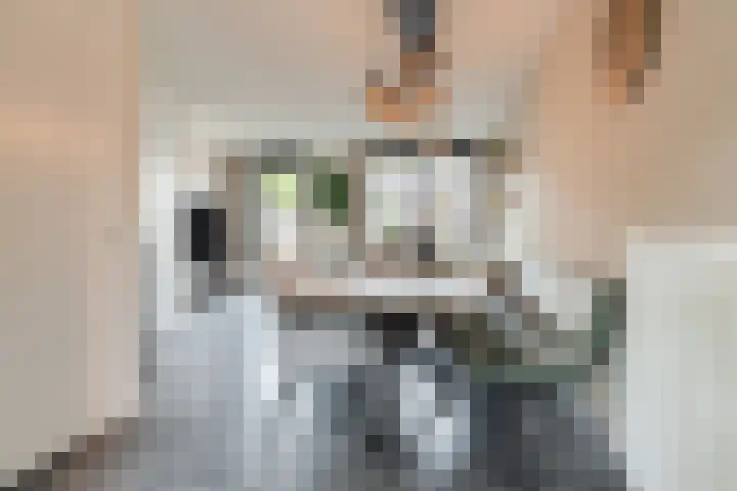 Maalsteen 17 Nistelrode thumbnail 13