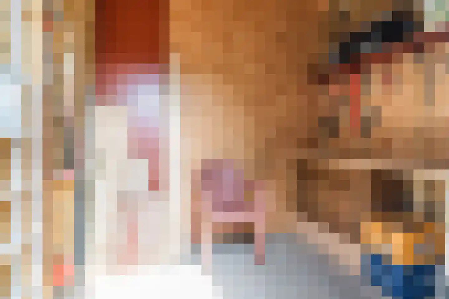 Maalsteen 17 Nistelrode thumbnail 31