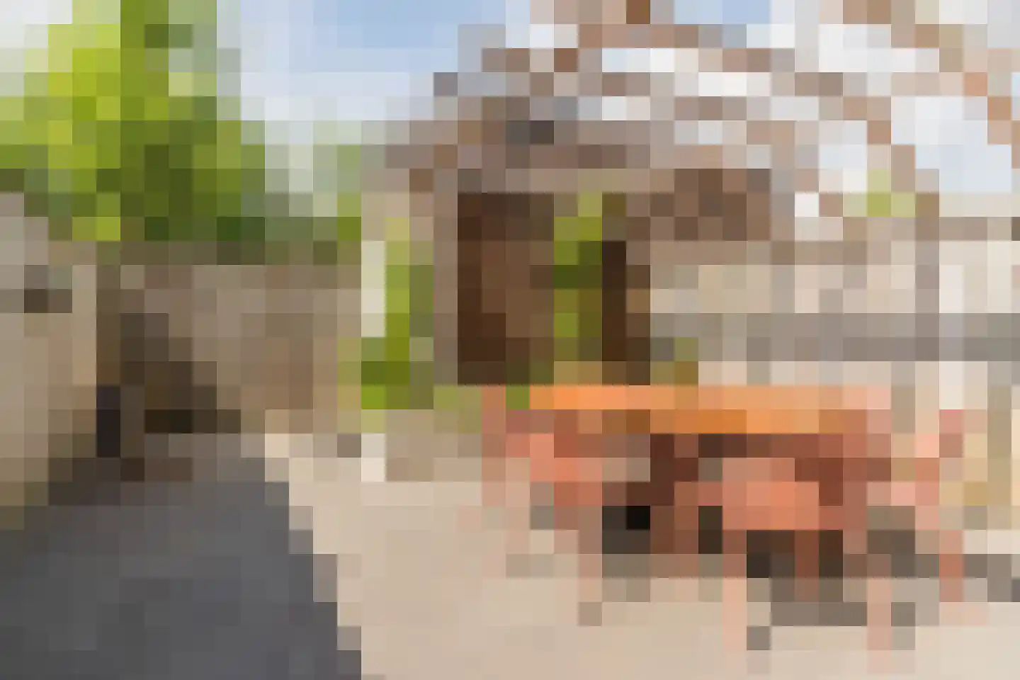 Maalsteen 17 Nistelrode thumbnail 34