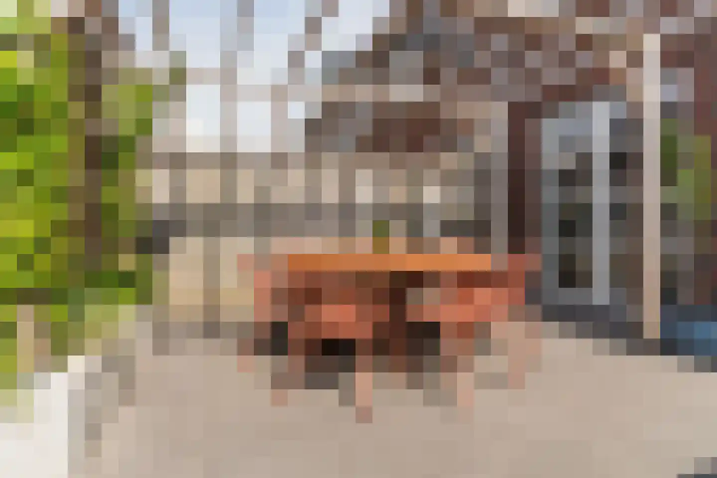 Maalsteen 17 Nistelrode thumbnail 35