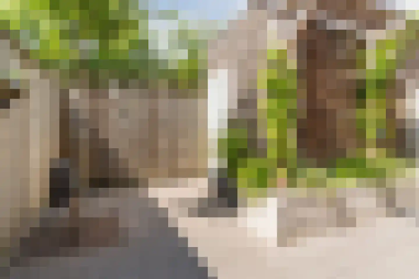Maalsteen 17 Nistelrode thumbnail 36