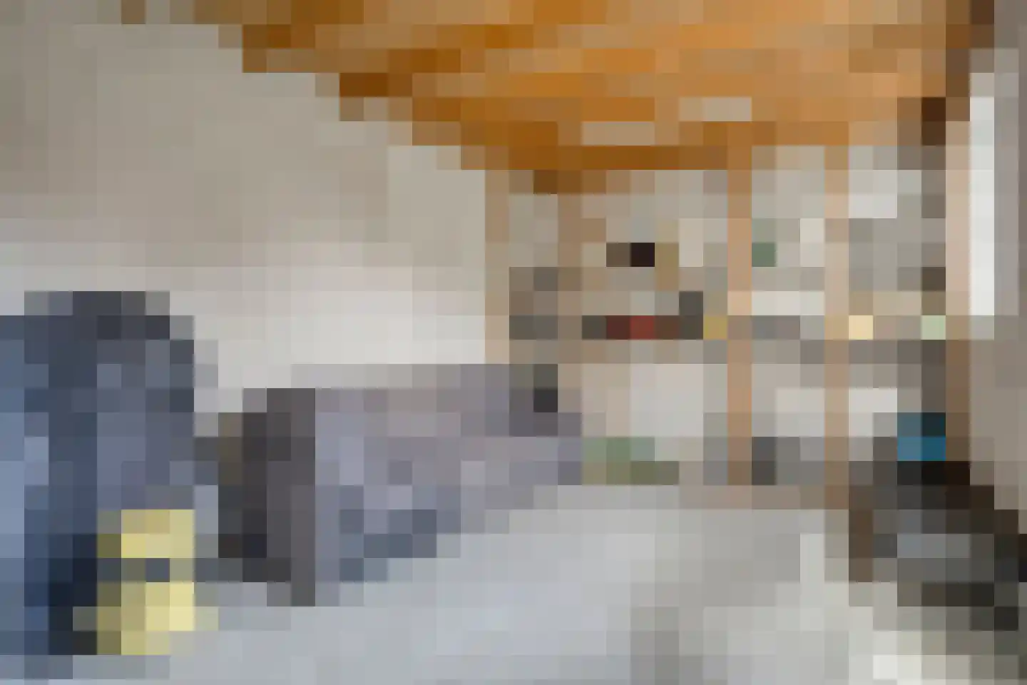 Maalsteen 18 Nistelrode thumbnail 40