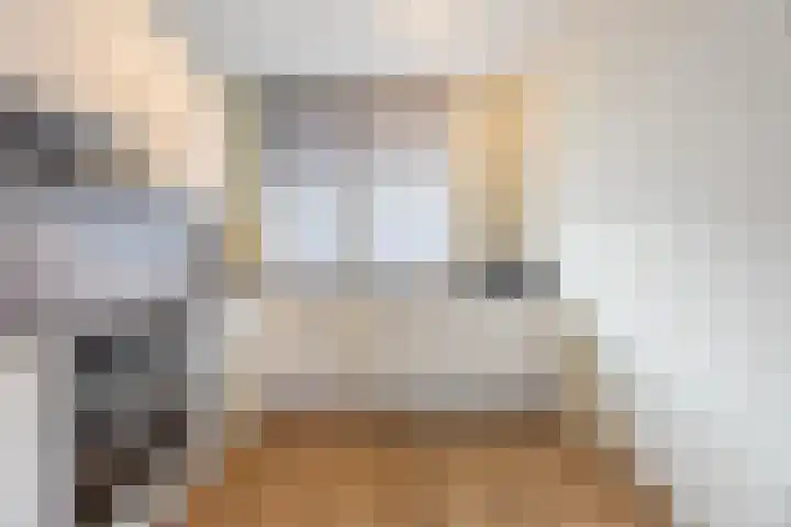 Maalsteen 19 Nistelrode thumbnail 12