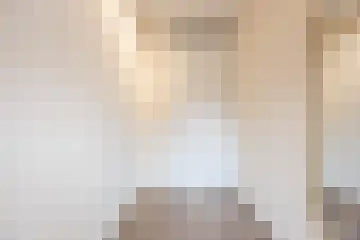 Maalsteen 19 Nistelrode thumbnail 22