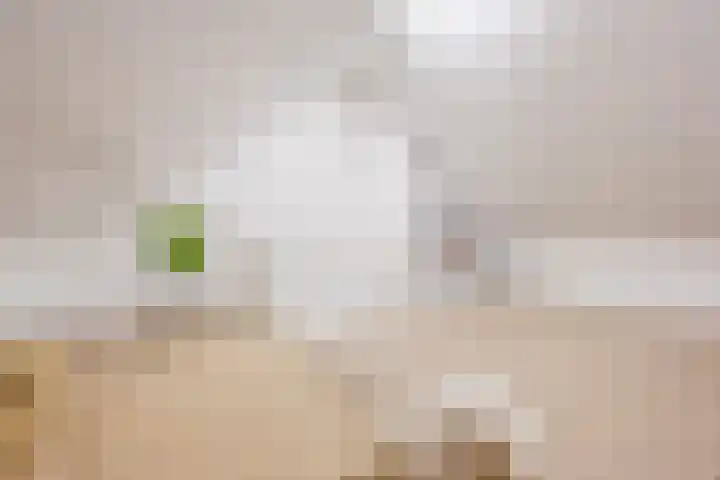 Maalsteen 19 Nistelrode thumbnail 26