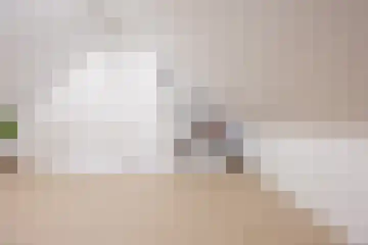 Maalsteen 19 Nistelrode thumbnail 27