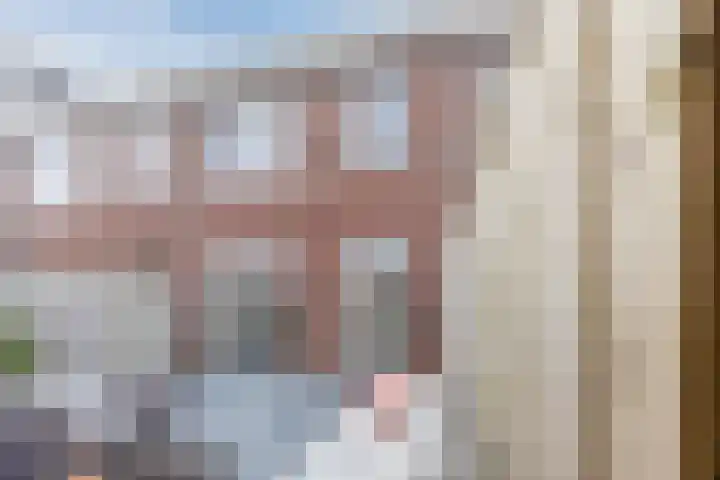 Maalsteen 19 Nistelrode thumbnail 32