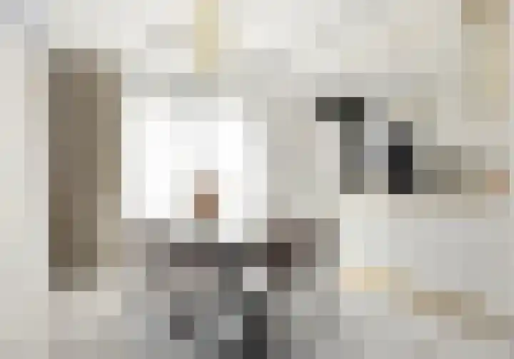 Maalsteen 2 Nistelrode thumbnail 14