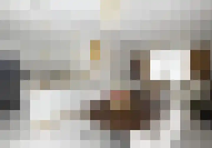 Maalsteen 2 Nistelrode thumbnail 19