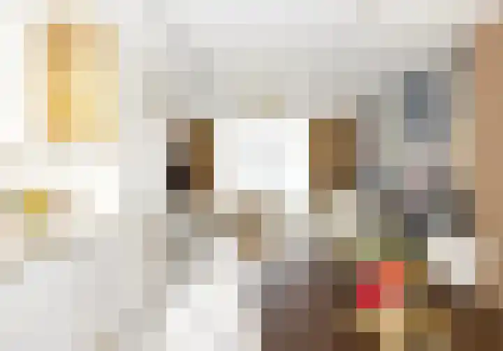 Maalsteen 2 Nistelrode thumbnail 20
