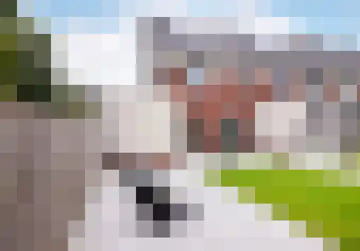 Maalsteen 2 Nistelrode thumbnail 34