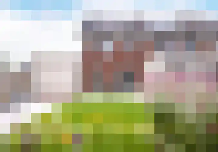 Maalsteen 2 Nistelrode thumbnail 35