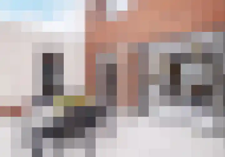 Maalsteen 2 Nistelrode thumbnail 37