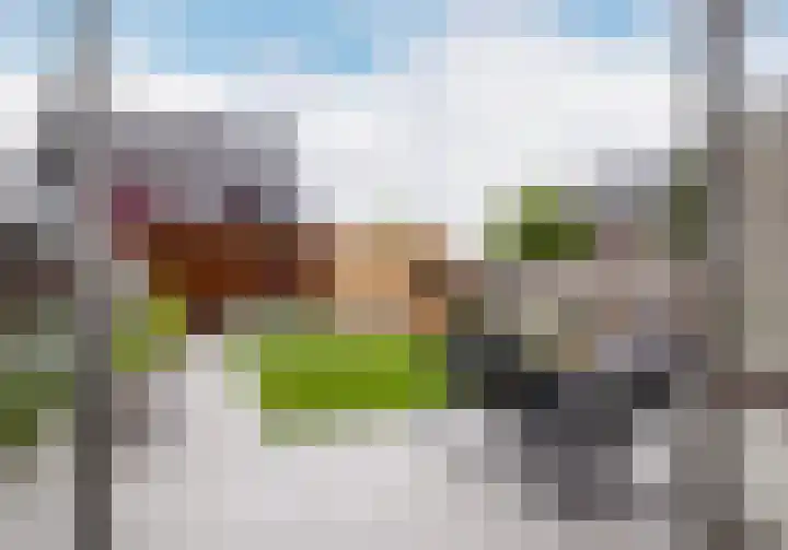 Maalsteen 2 Nistelrode thumbnail 38