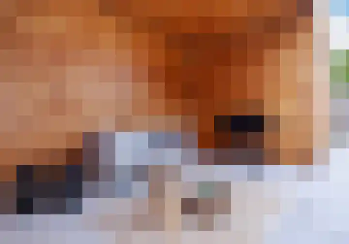 Maalsteen 2 Nistelrode thumbnail 42