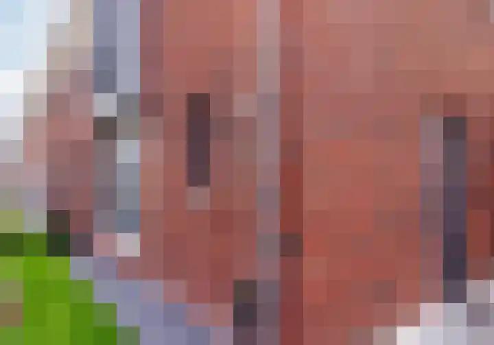 Maalsteen 2 Nistelrode thumbnail 7