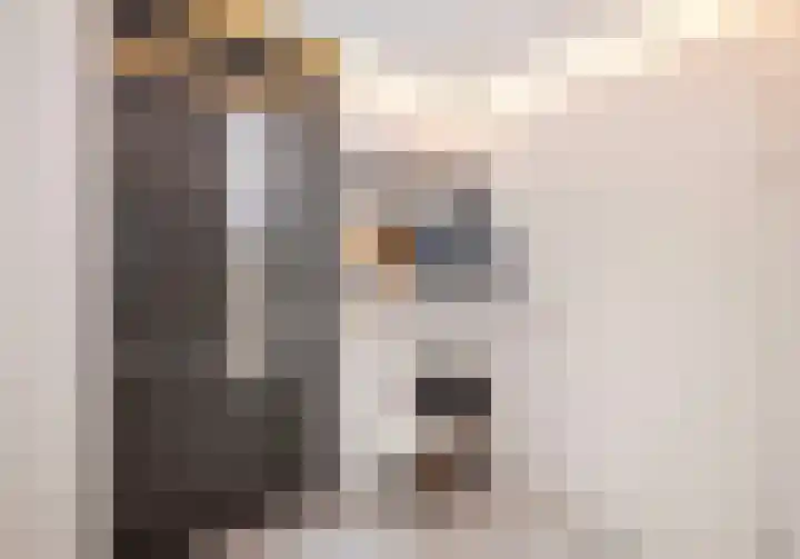 Maalsteen 2 Nistelrode thumbnail 8