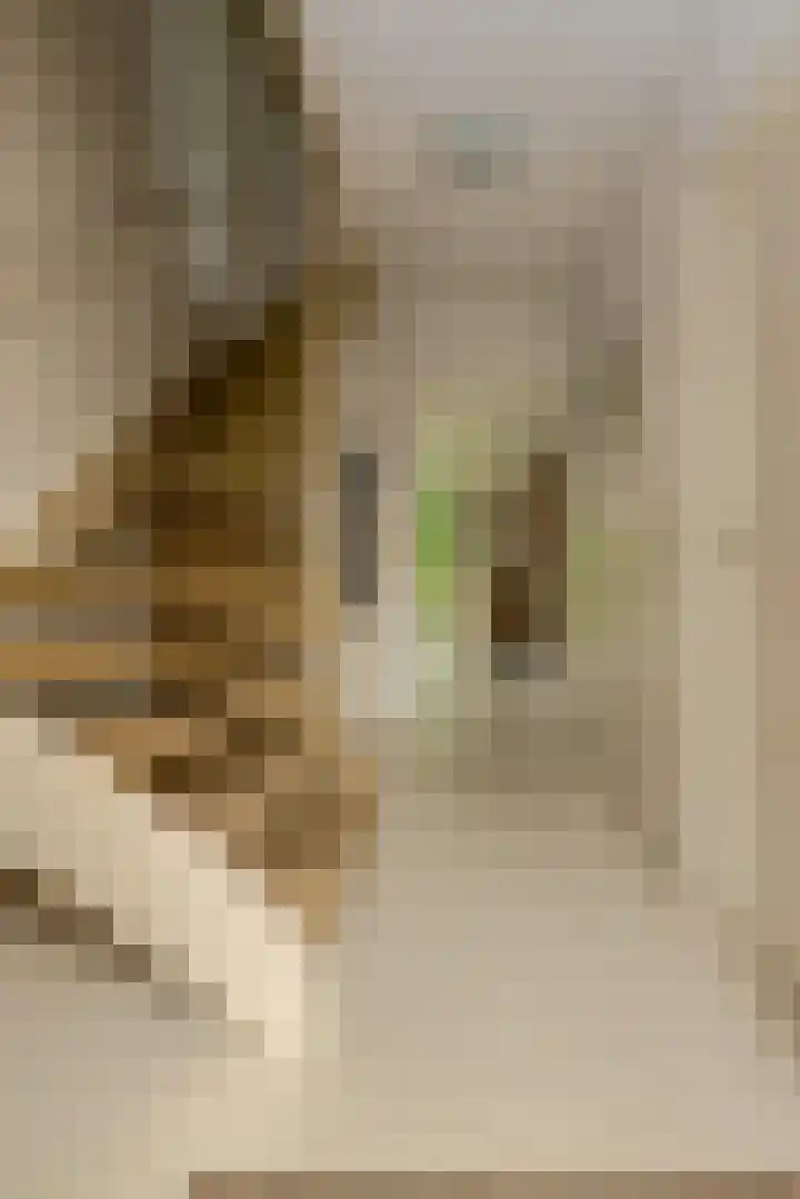 Maalsteen 24 Oosterhout thumbnail 10