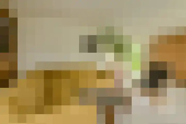 Maalsteen 24 Oosterhout thumbnail 12