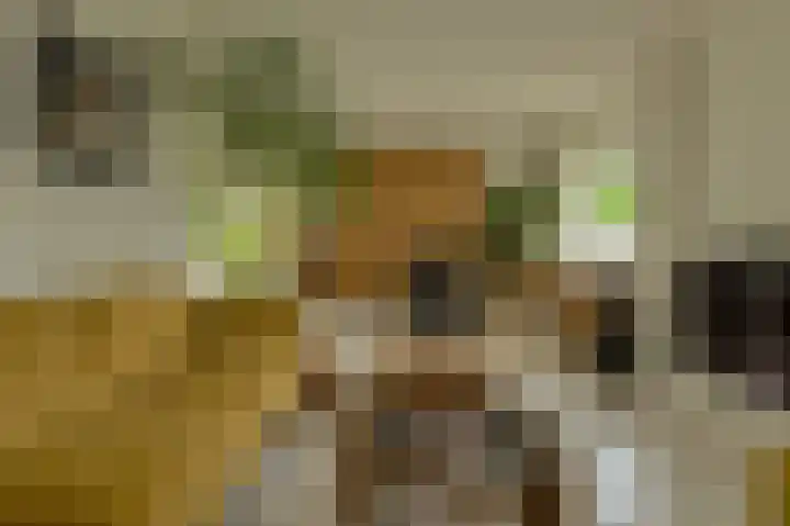 Maalsteen 24 Oosterhout thumbnail 13