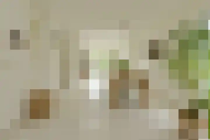 Maalsteen 24 Oosterhout thumbnail 15