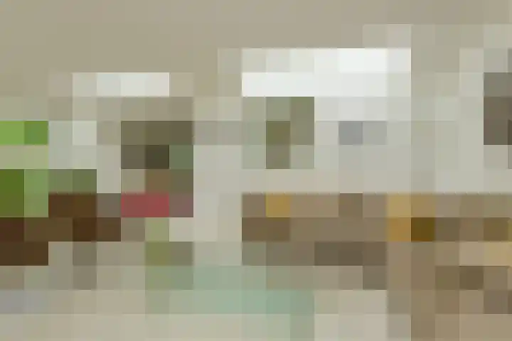 Maalsteen 24 Oosterhout thumbnail 18