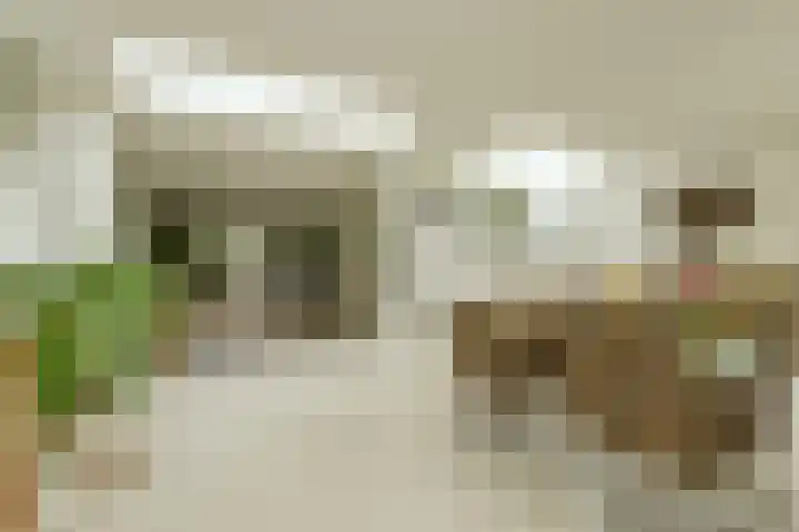 Maalsteen 24 Oosterhout thumbnail 23