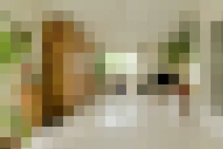 Maalsteen 24 Oosterhout thumbnail 27