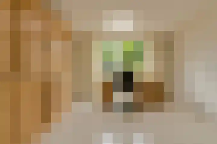 Maalsteen 24 Oosterhout thumbnail 33
