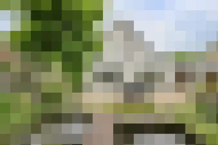 Maalsteen 24 Oosterhout thumbnail 5