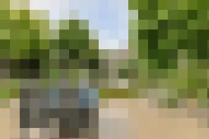 Maalsteen 24 Oosterhout thumbnail 54