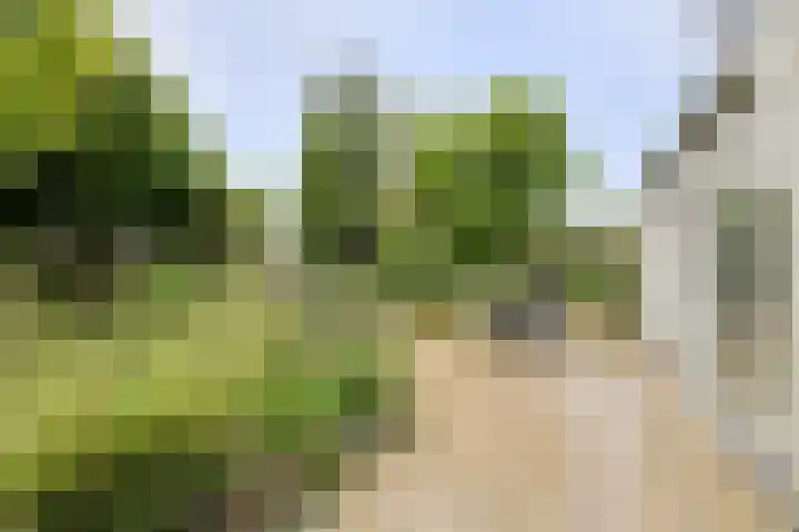 Maalsteen 24 Oosterhout thumbnail 55