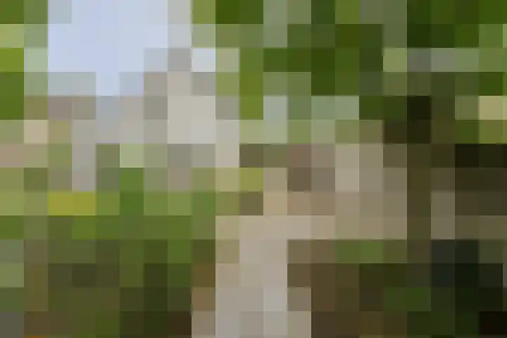 Maalsteen 24 Oosterhout thumbnail 56