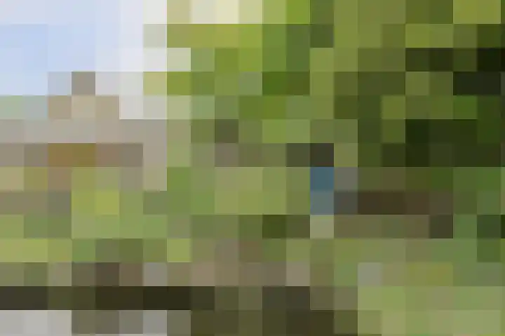 Maalsteen 24 Oosterhout thumbnail 58