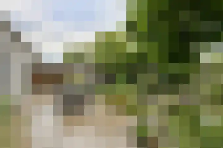 Maalsteen 24 Oosterhout thumbnail 59