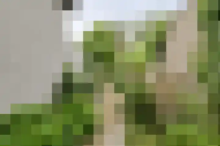 Maalsteen 24 Oosterhout thumbnail 61