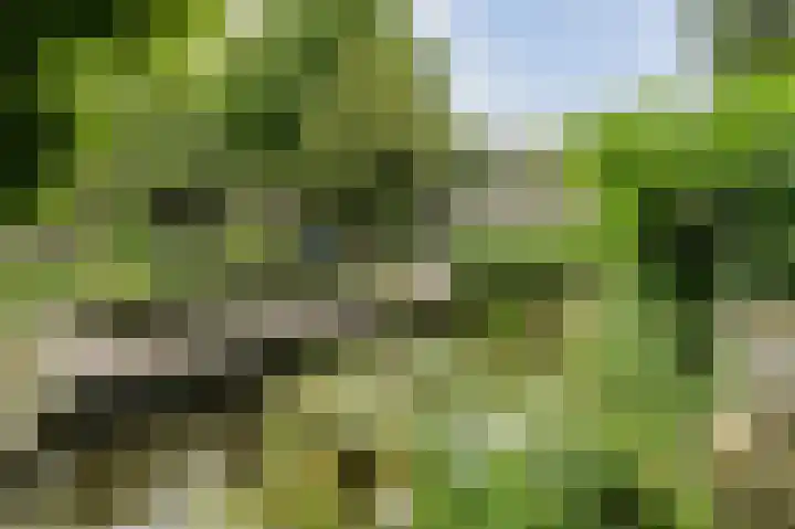 Maalsteen 24 Oosterhout thumbnail 62