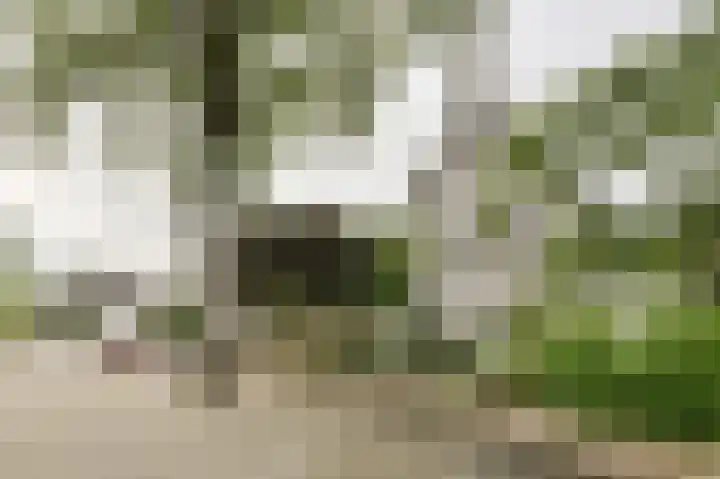 Maalsteen 24 Oosterhout thumbnail 63